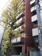 豊栄アンバサダー六本木 画像1