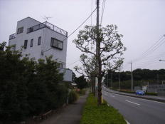 木曽呂住居付店舗･事務所 画像3