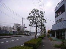 木曽呂住居付店舗･事務所 画像4