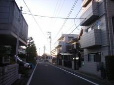 シティハイツ 画像3