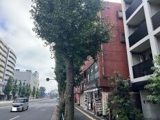 高島平ビル 画像3